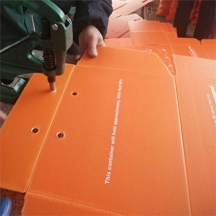 Customized Corflute box(001)