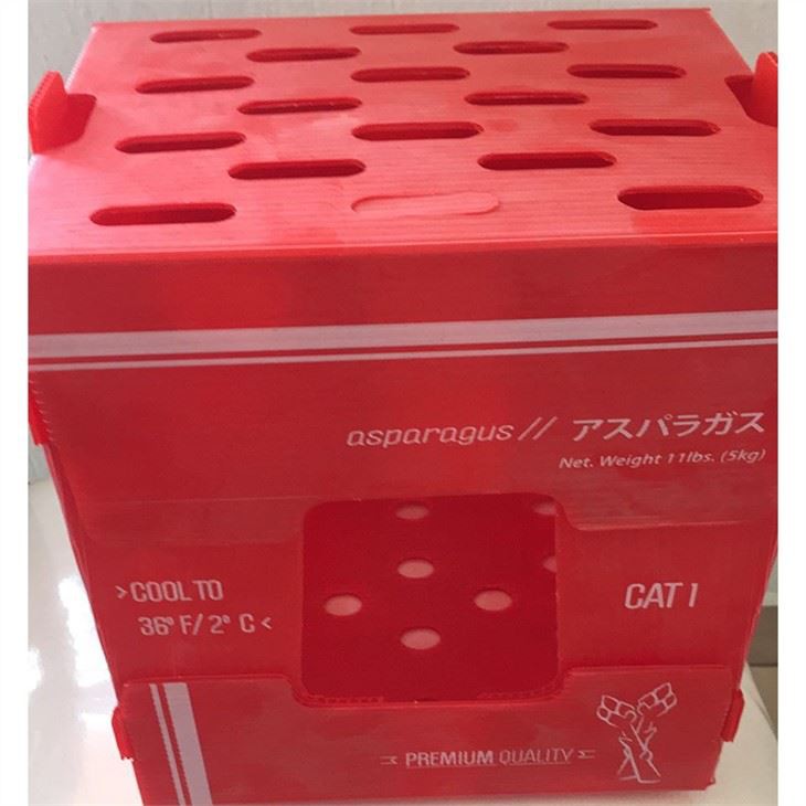 vegetable packaging plastic box