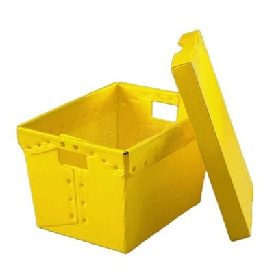 PP Coroplast מגש קופסת דואר