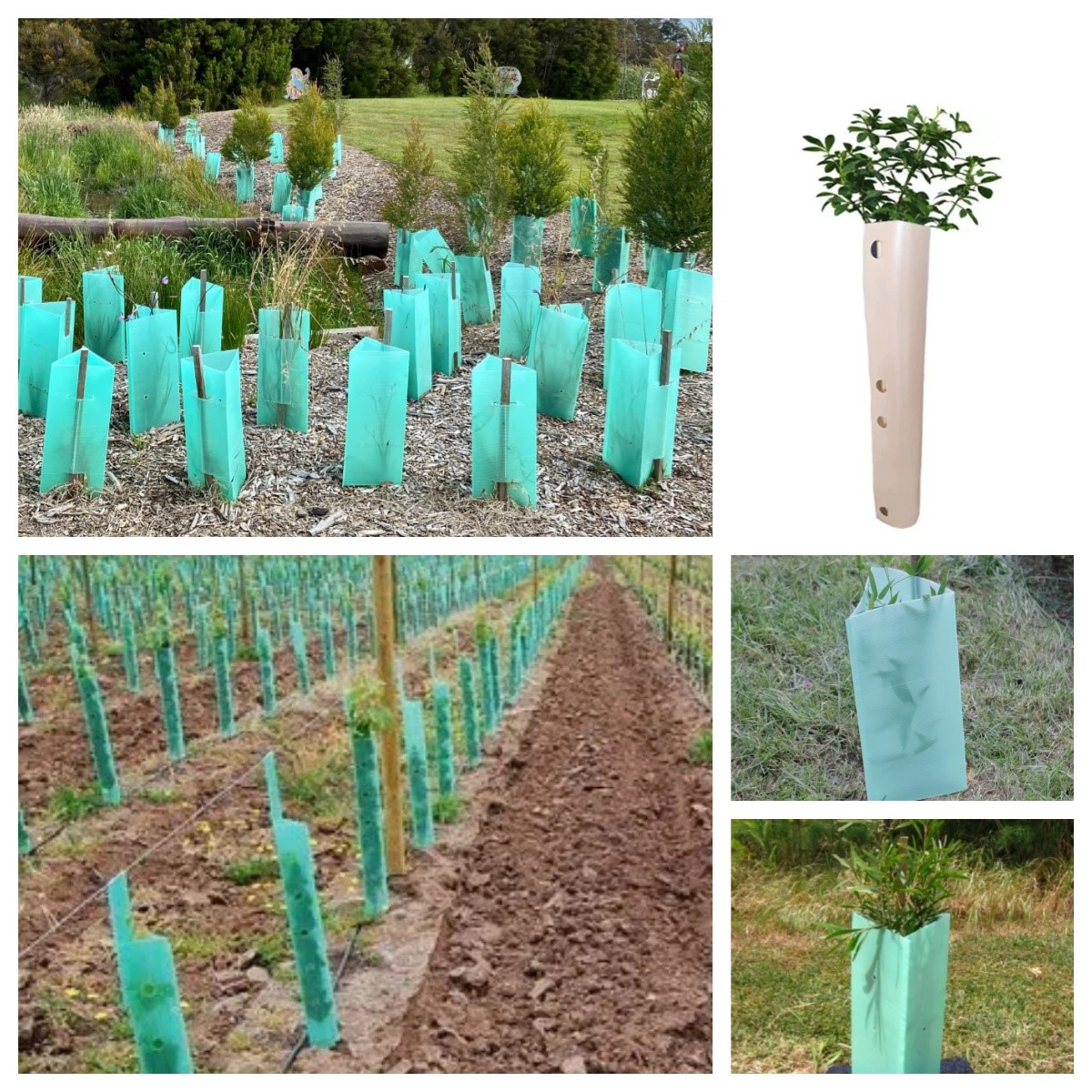 productcate-1200-1200 productcate-1200-1200