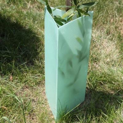 מגני עץ התנגדות UV